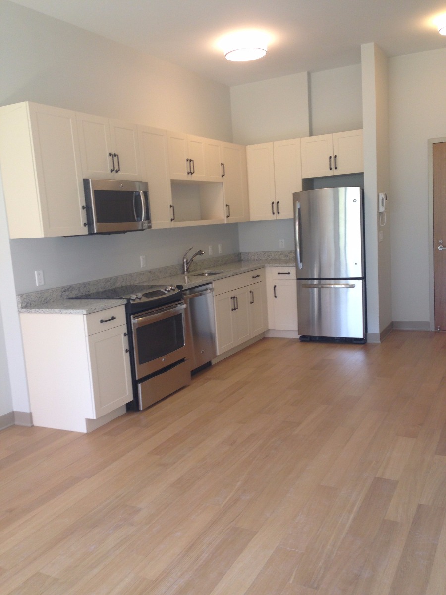 1 bed, 1 bath apartment for rent at 161 South Huntington Unit 1S, Jamaica Plain