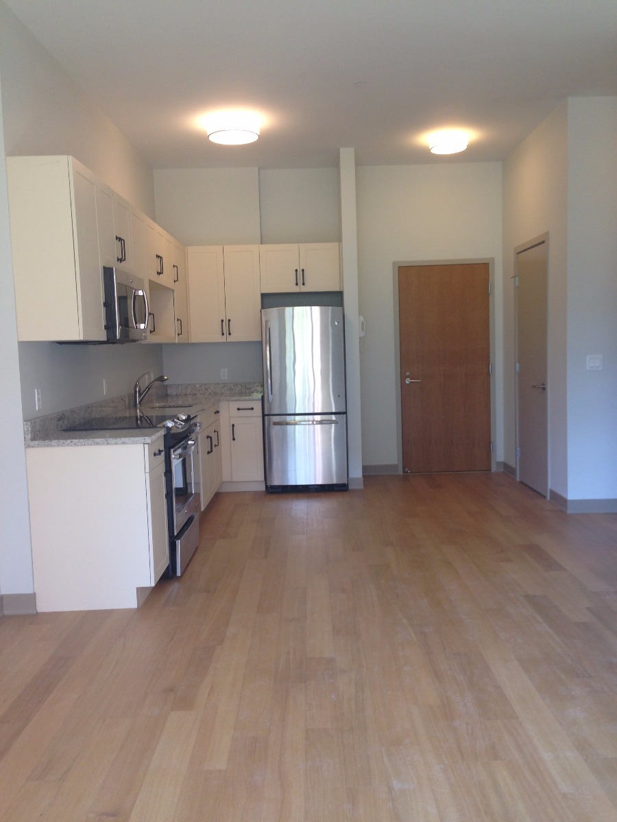 1 bed, 1 bath apartment for rent at 161 South Huntington Unit 1S, Jamaica Plain — photo 4 of 37
