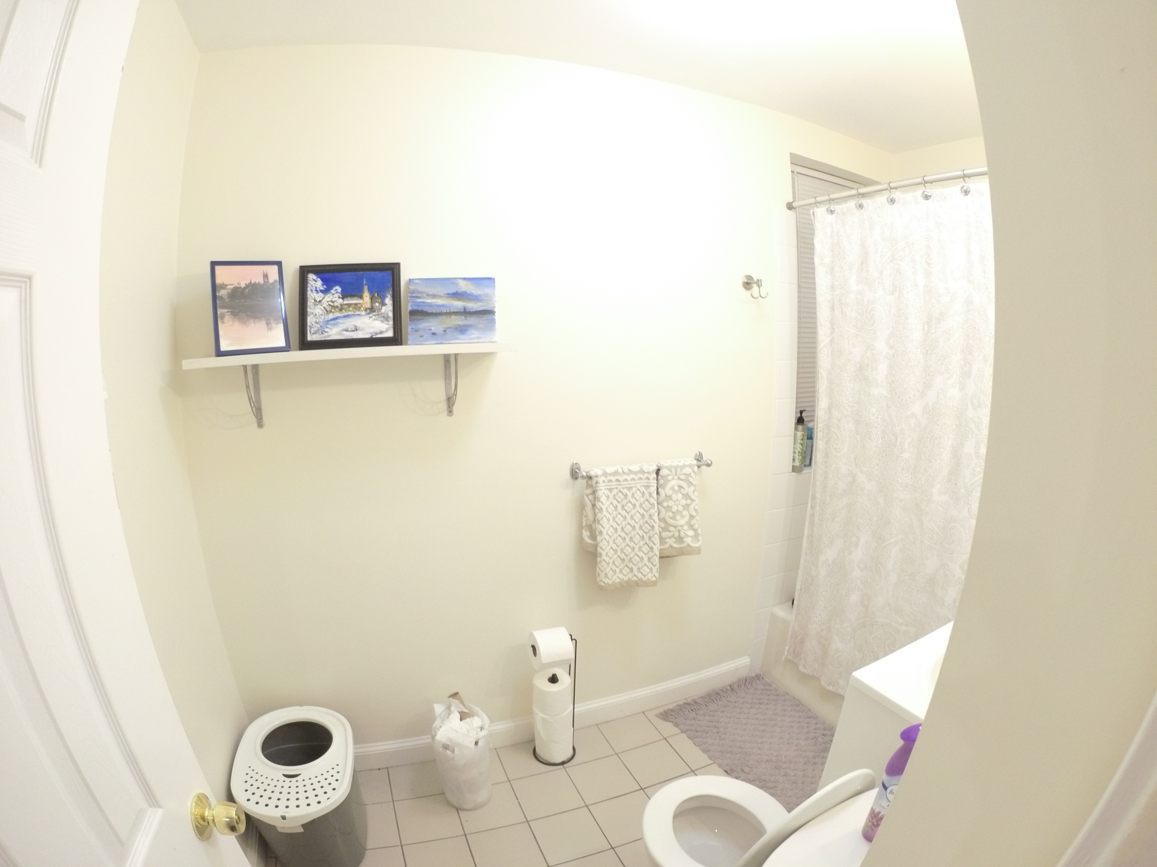 374 Chestnut Hill Ave, Brighton