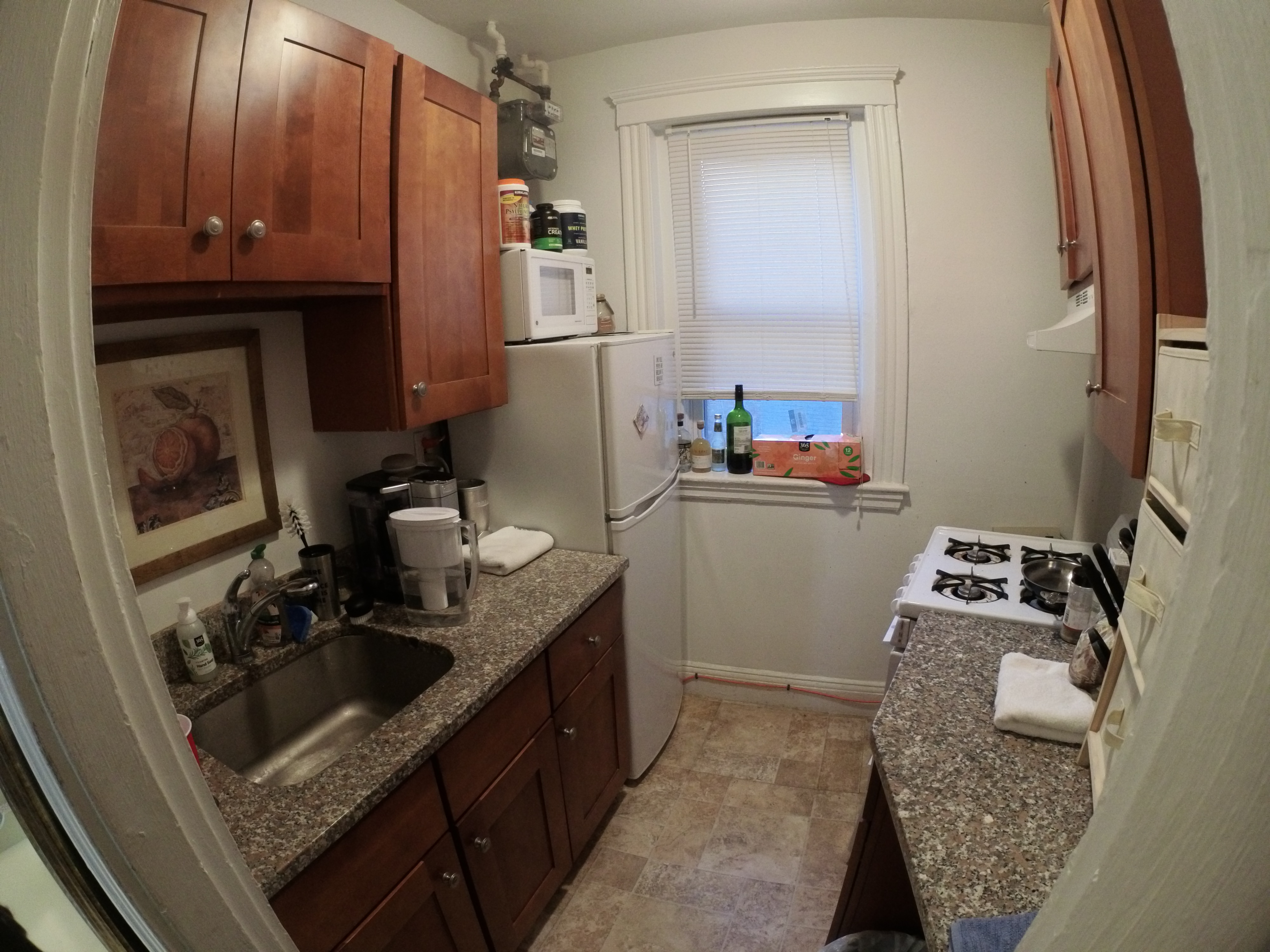 1450 Commonwealth Ave, Brighton