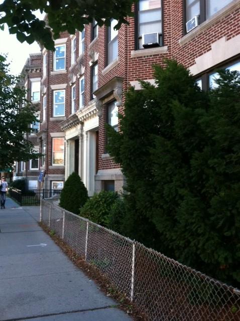 181 Harvard St, Coolidge Corner