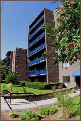 245 Main St, Arsenal Street