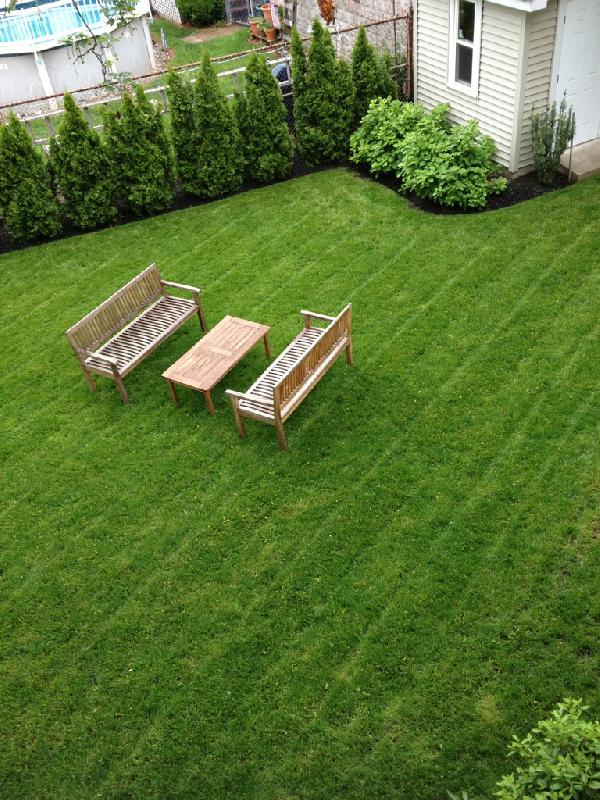 40 Trapelo St, Brighton