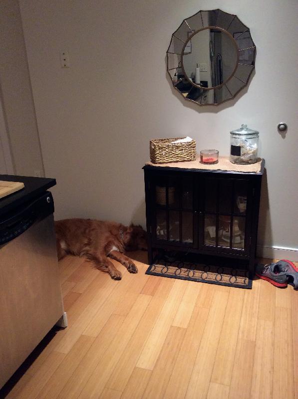 601 Albany St, South End