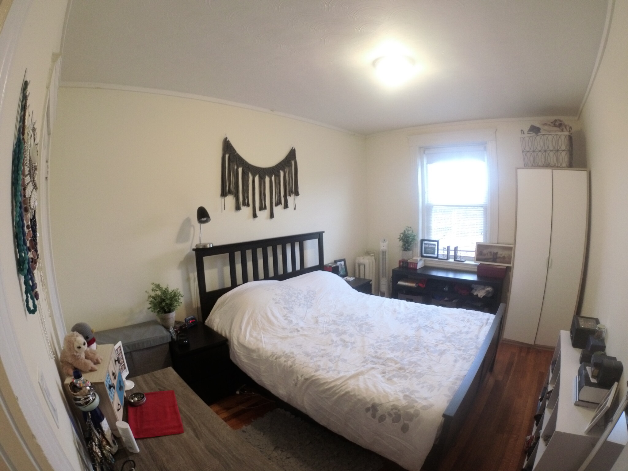 1615 Commonwealth Ave, Brighton