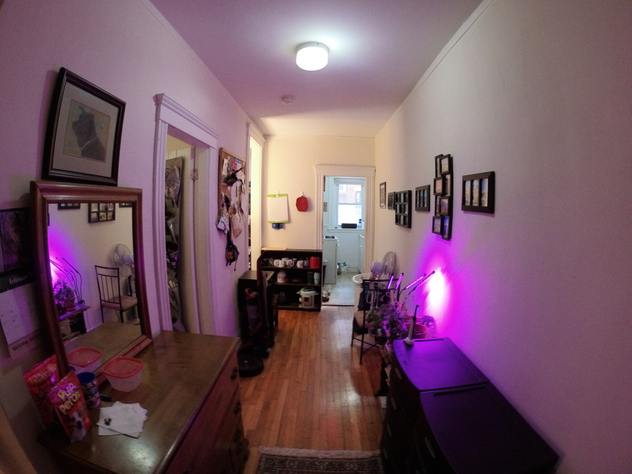 1450 Commonwealth Ave, Brighton