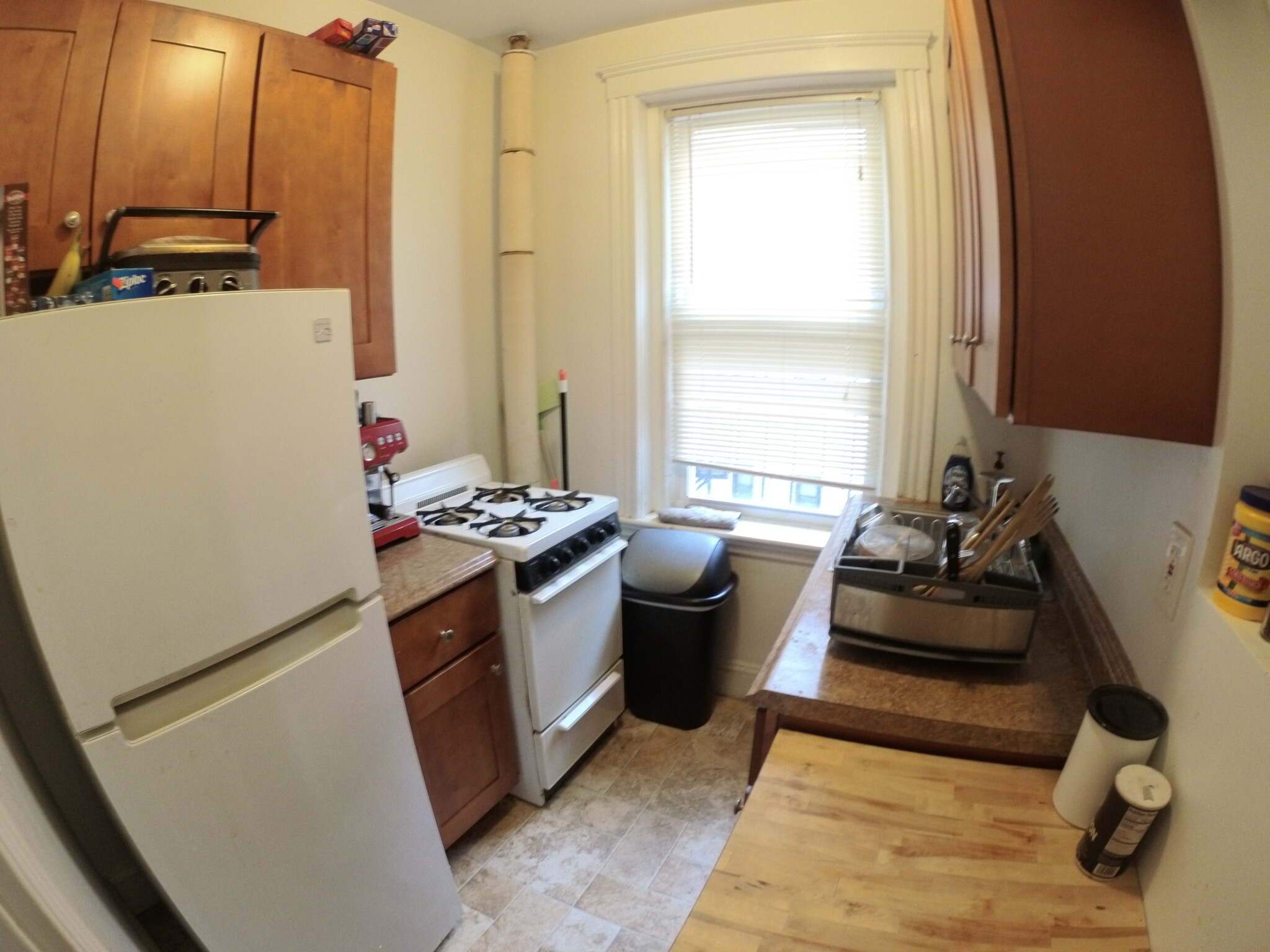 Photos of apartment on Telford St.,Boston MA 02135
