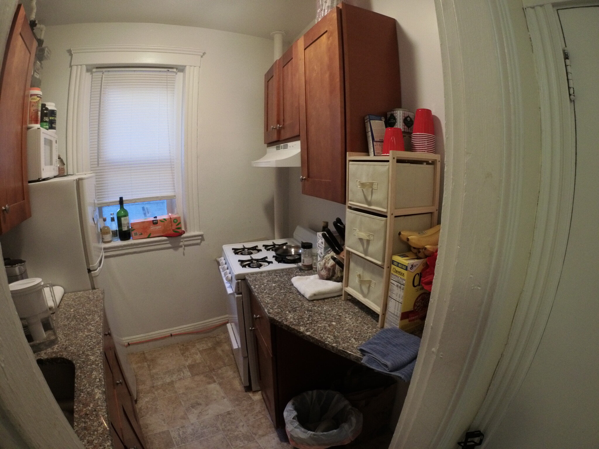 1450 Commonwealth Ave, Brighton