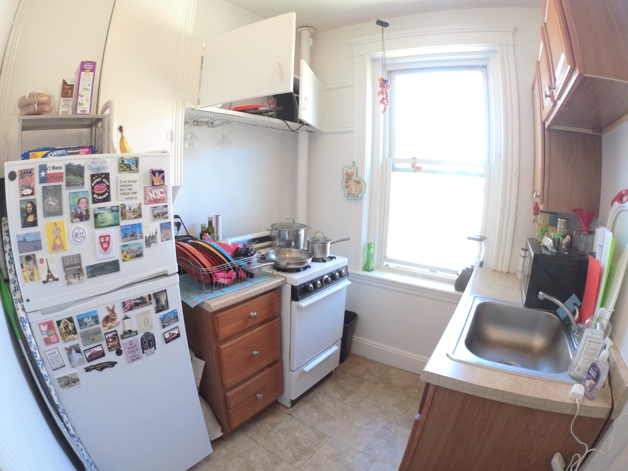 Photos of apartment on Leo M. Birmingham Pkwy.,Boston MA 02135