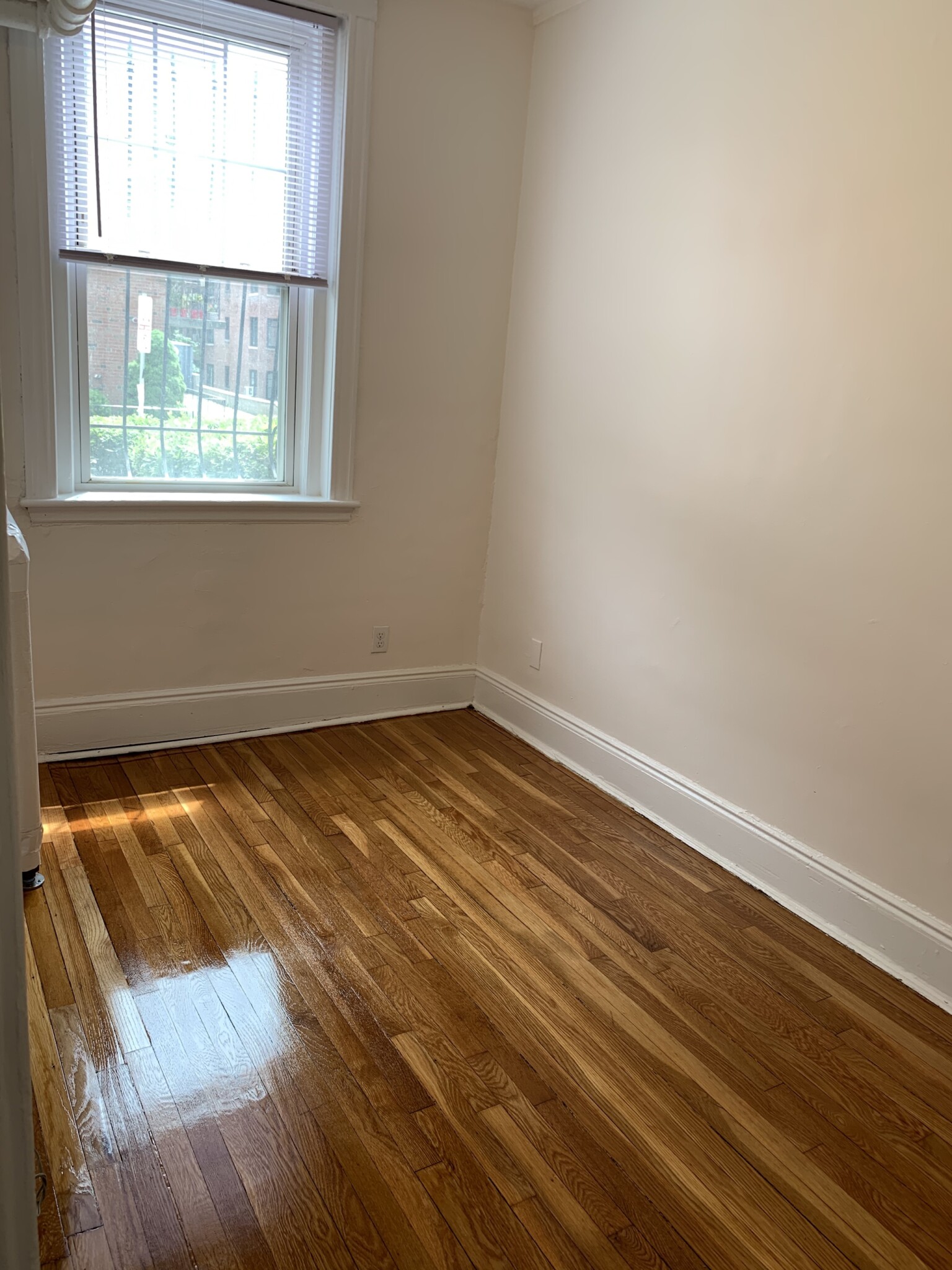 80 Sutherland Rd, Brighton