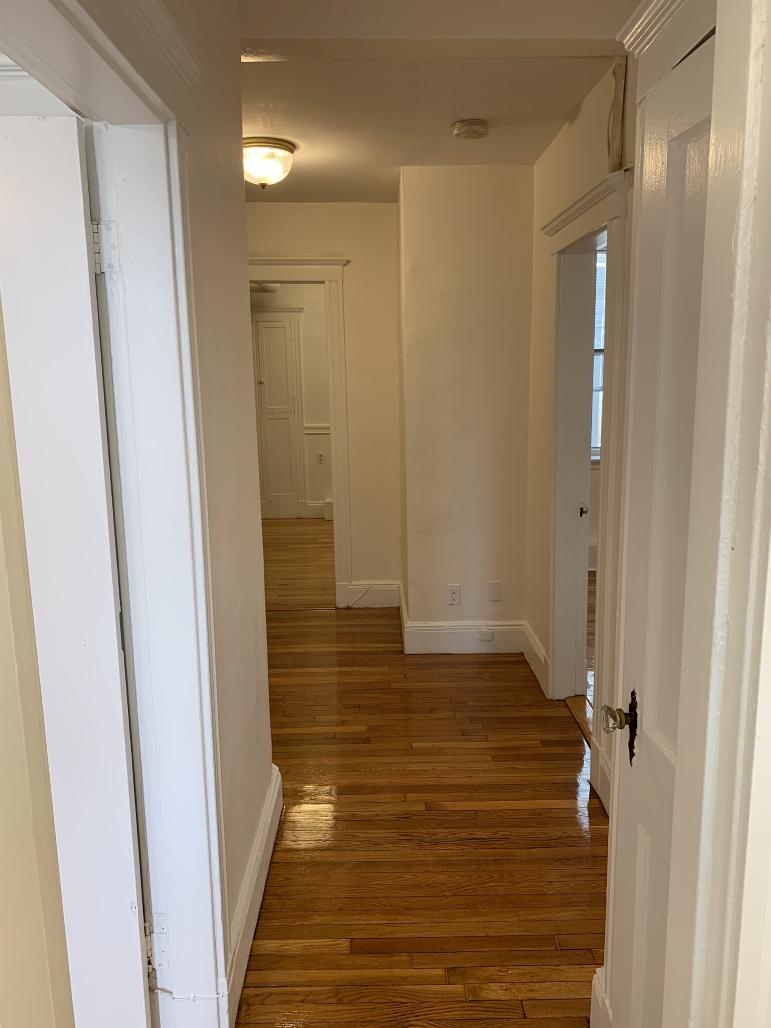 80 Sutherland Rd, Brighton