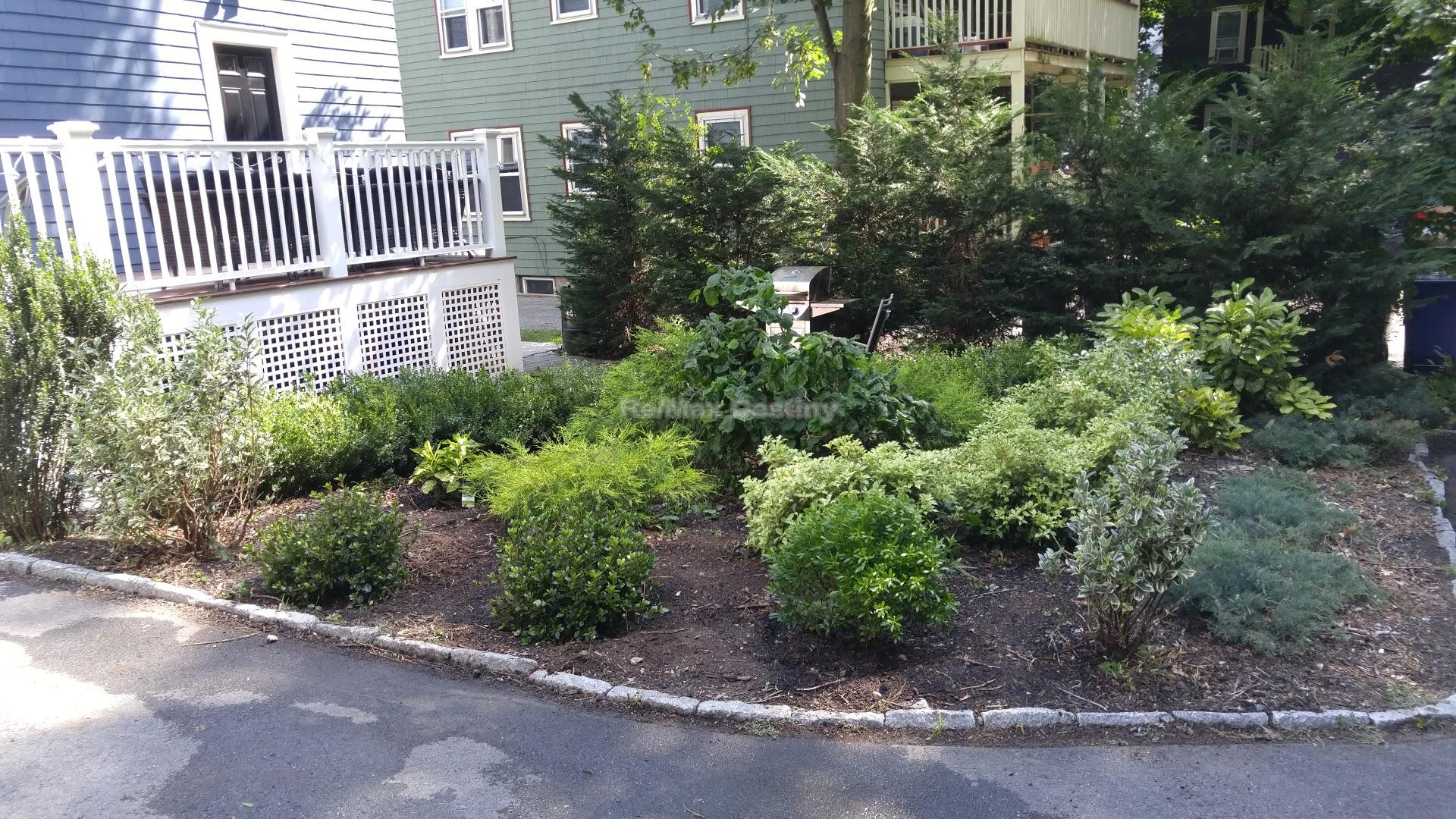 21 Saint Peter St, Jamaica Plain