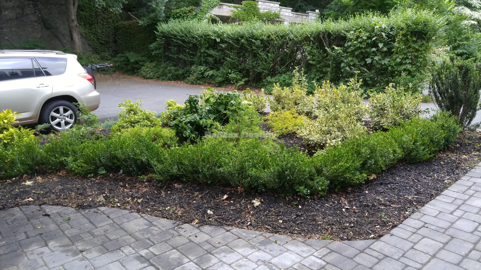 21 Saint Peter St, Jamaica Plain