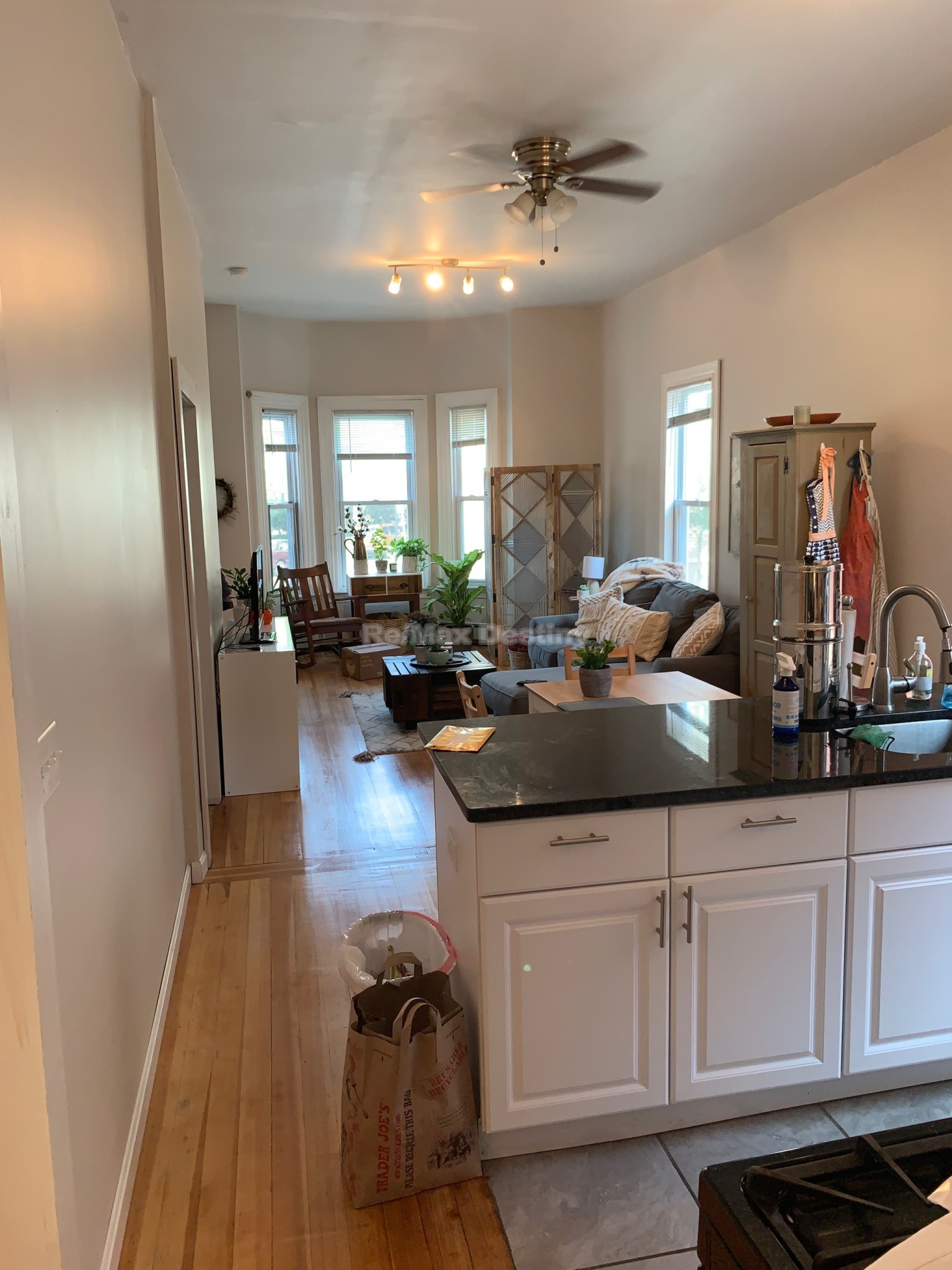 142 Webster Ave, Inman Square