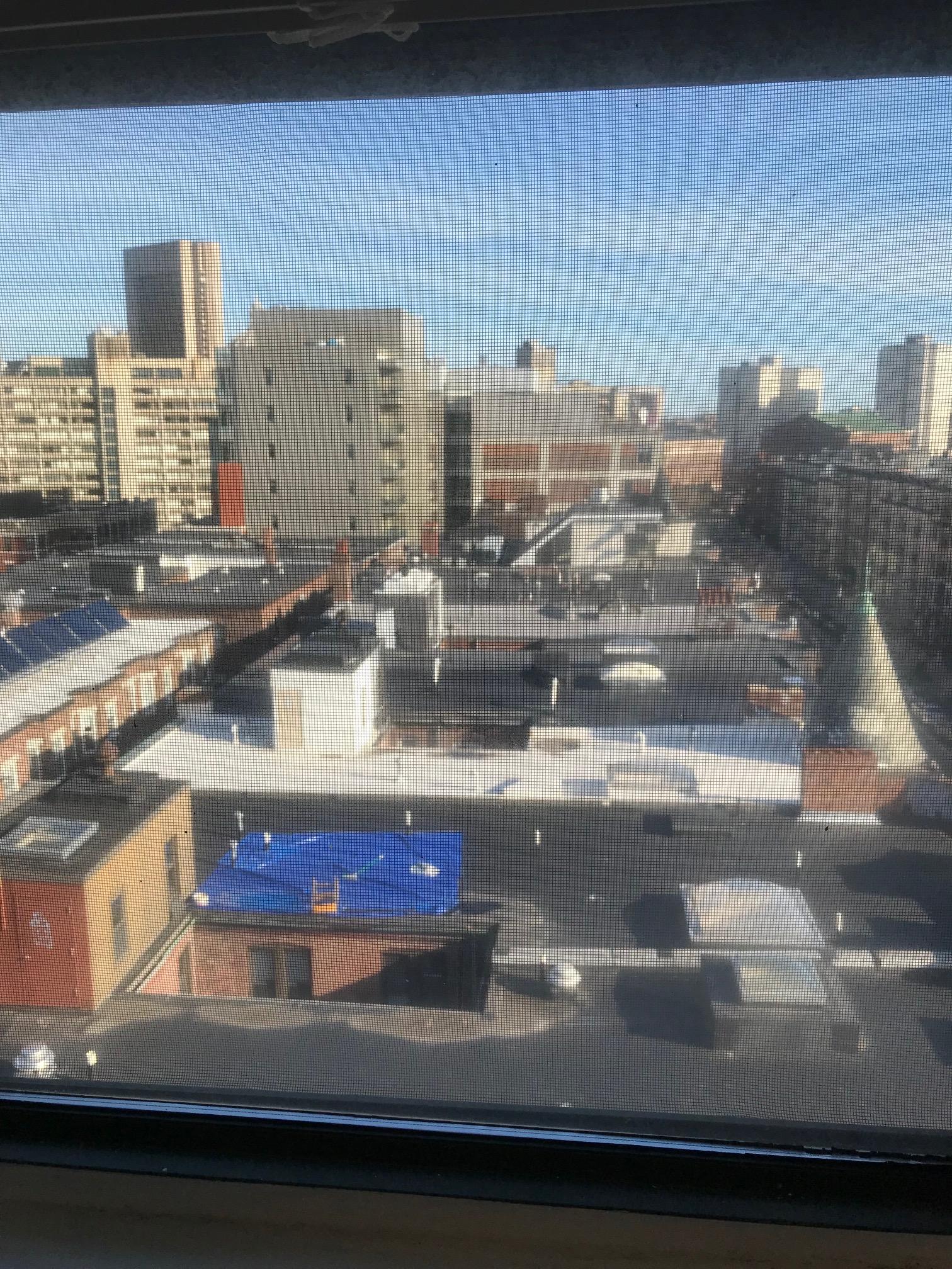 91 Westland Ave, Back Bay