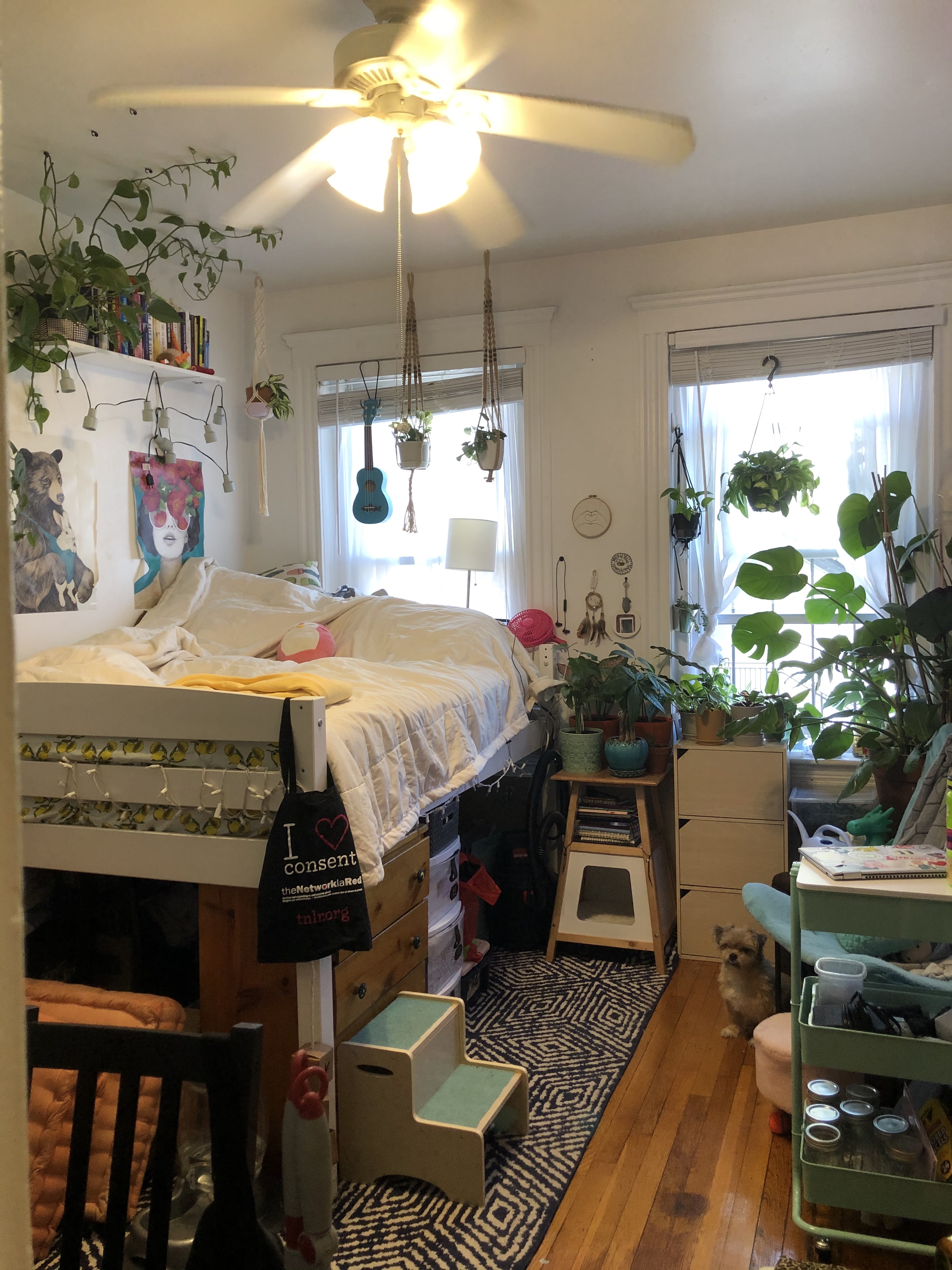 2 bed, 1 bath apartment for rent at 89 Park Dr Unit 18, Fenway