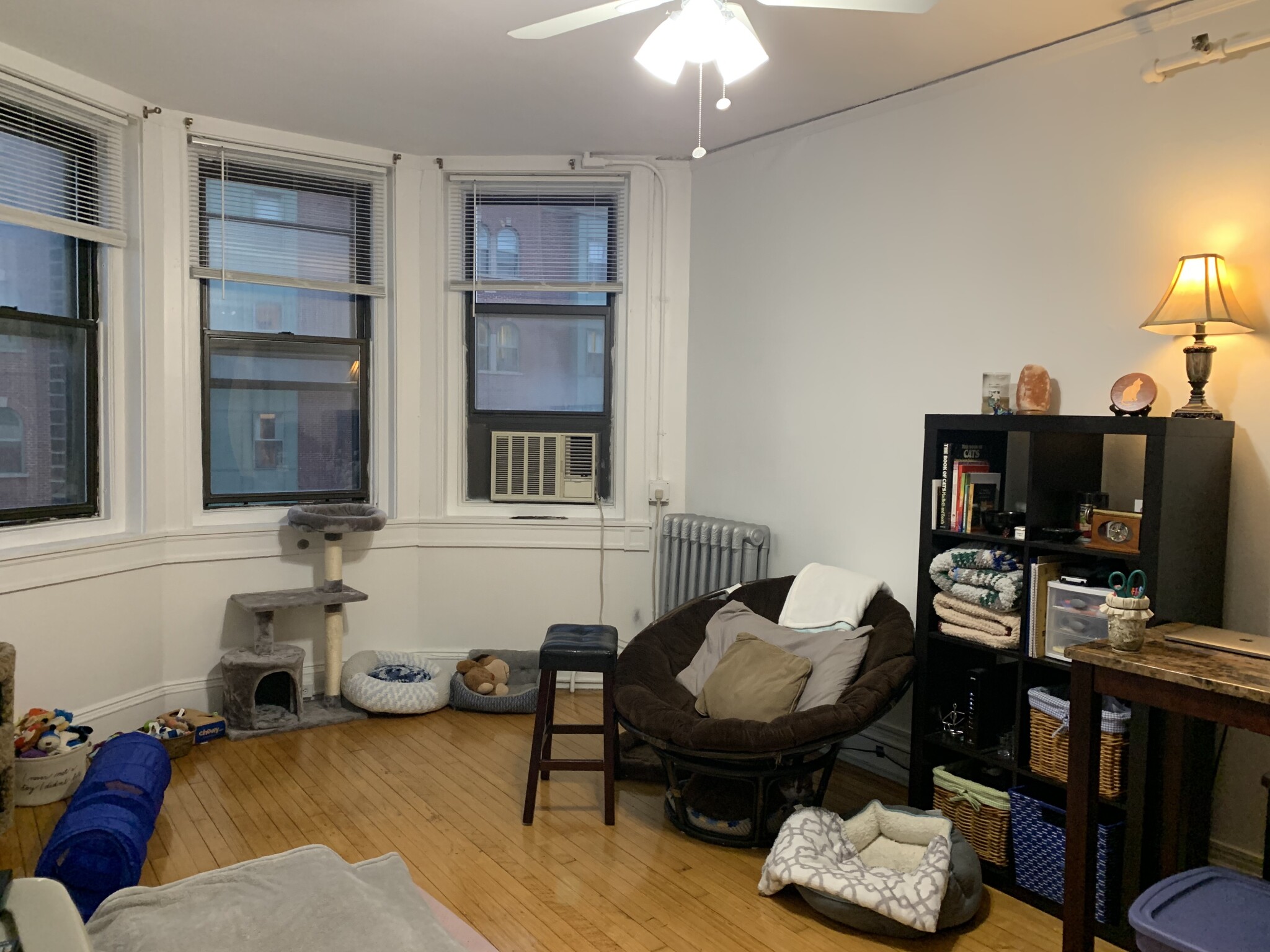 91 Westland Ave, Fenway