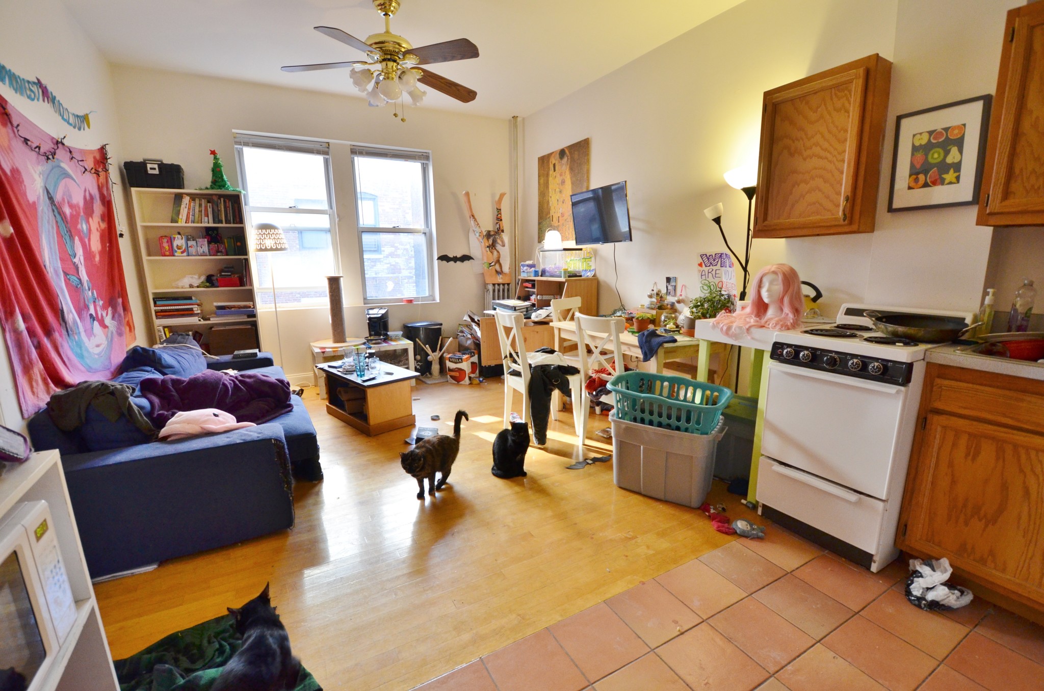 Rental image