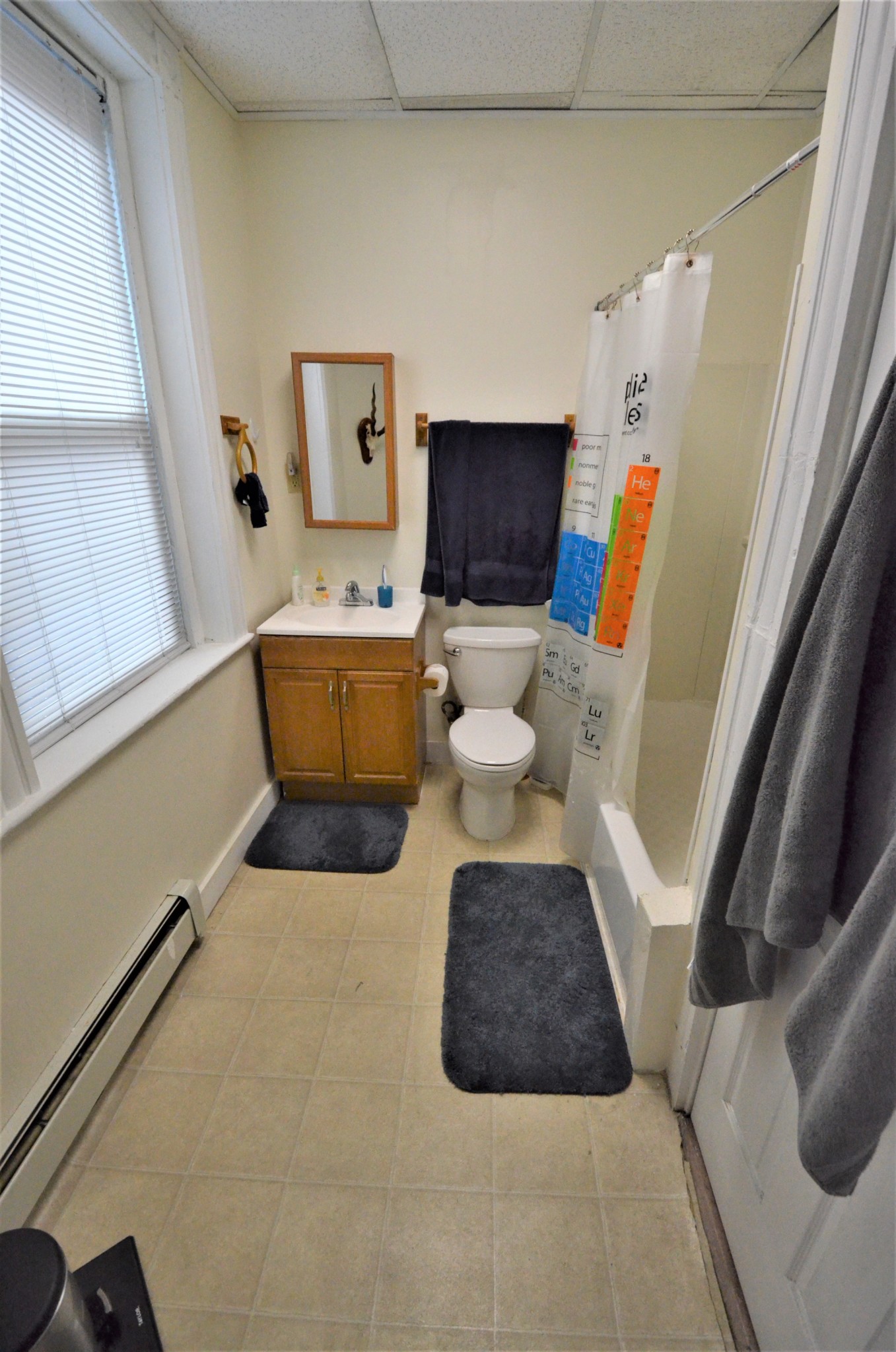 Rental image