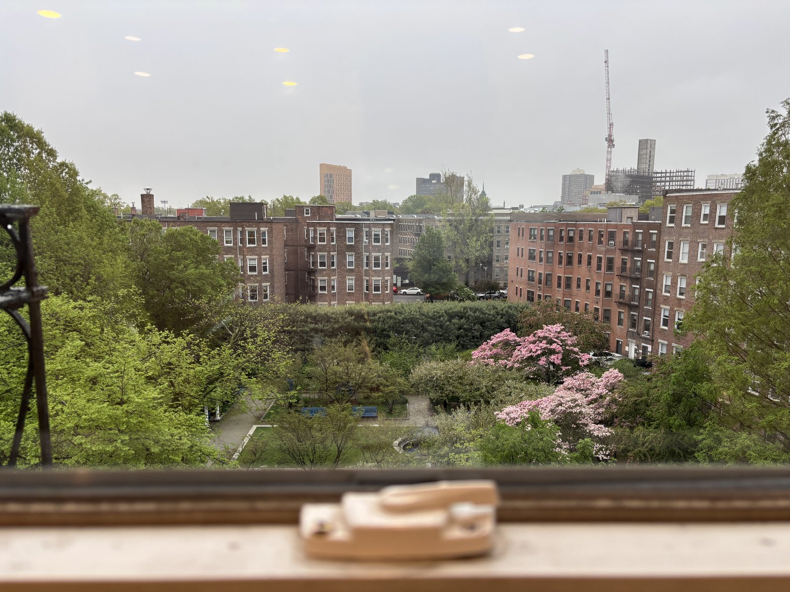 Rental image