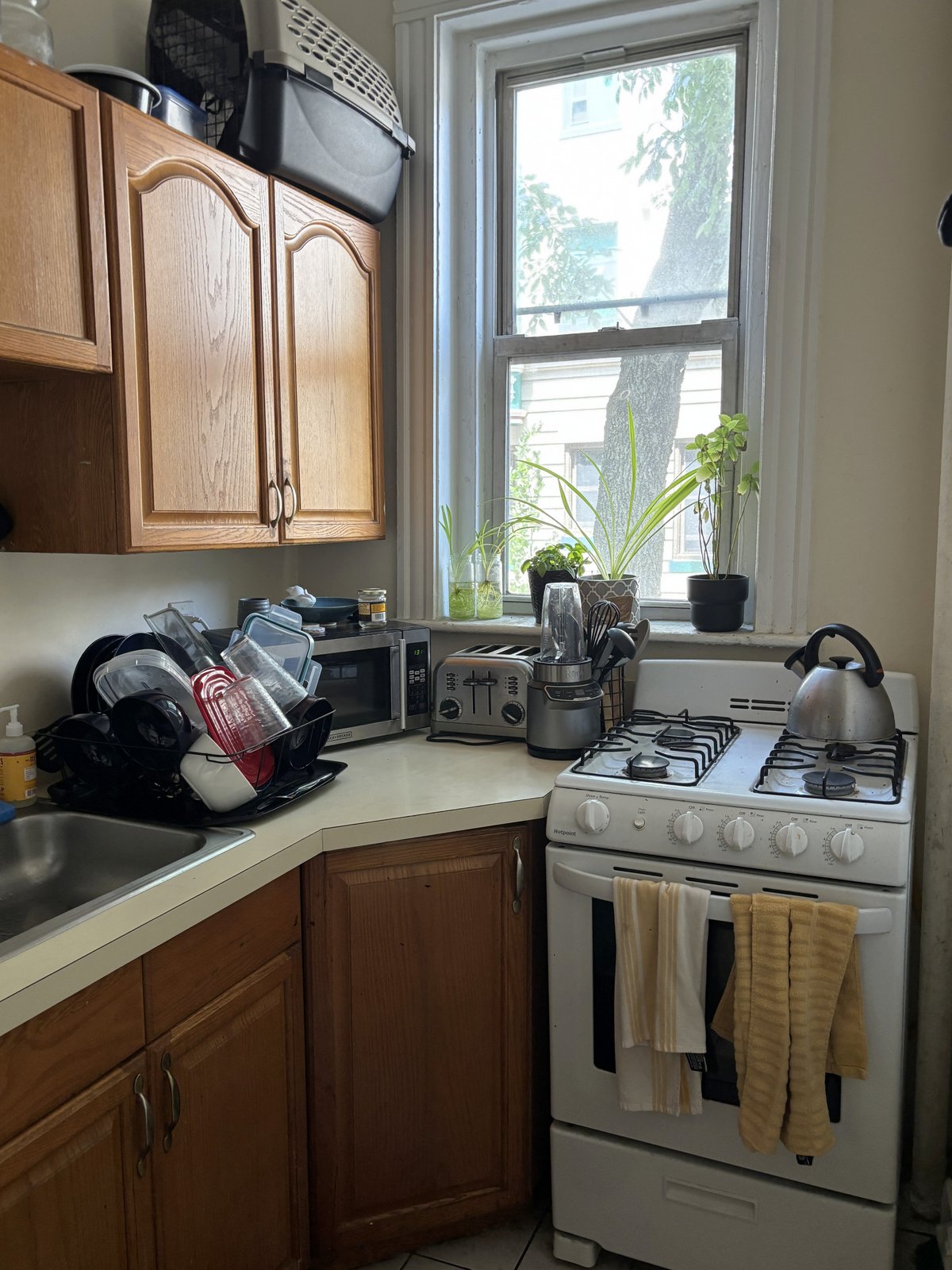 Rental image