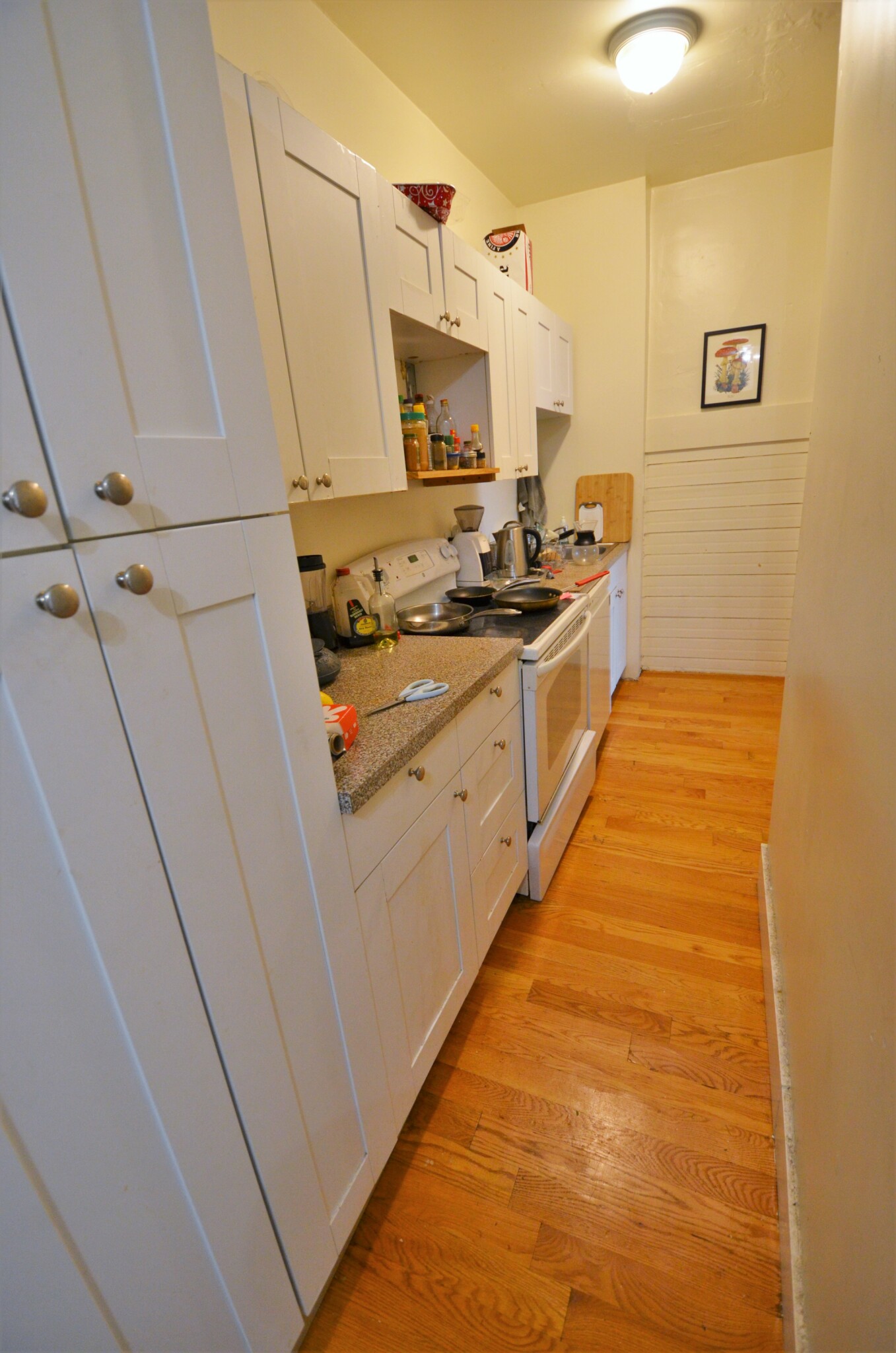 Rental image