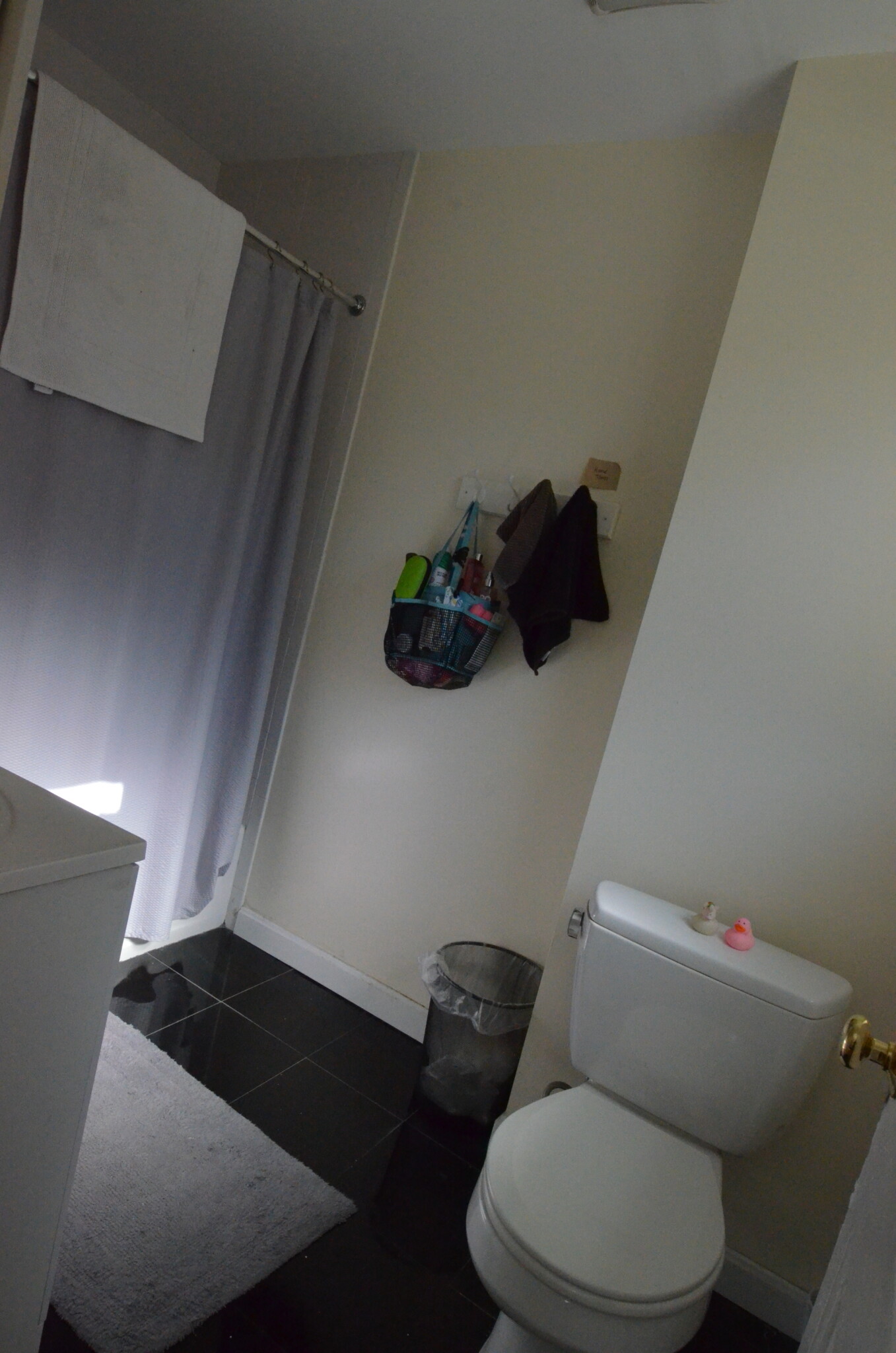 Rental image