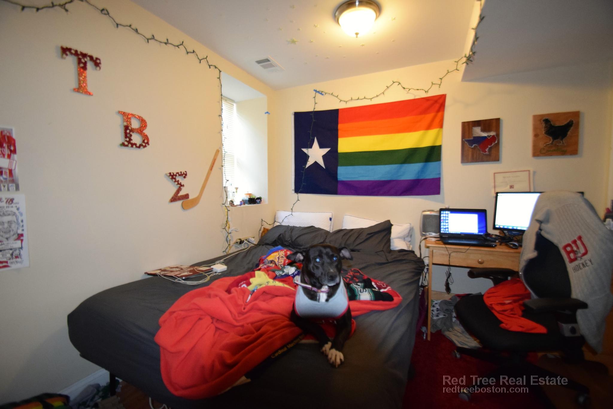 18 Cobden St, Jamaica Plain