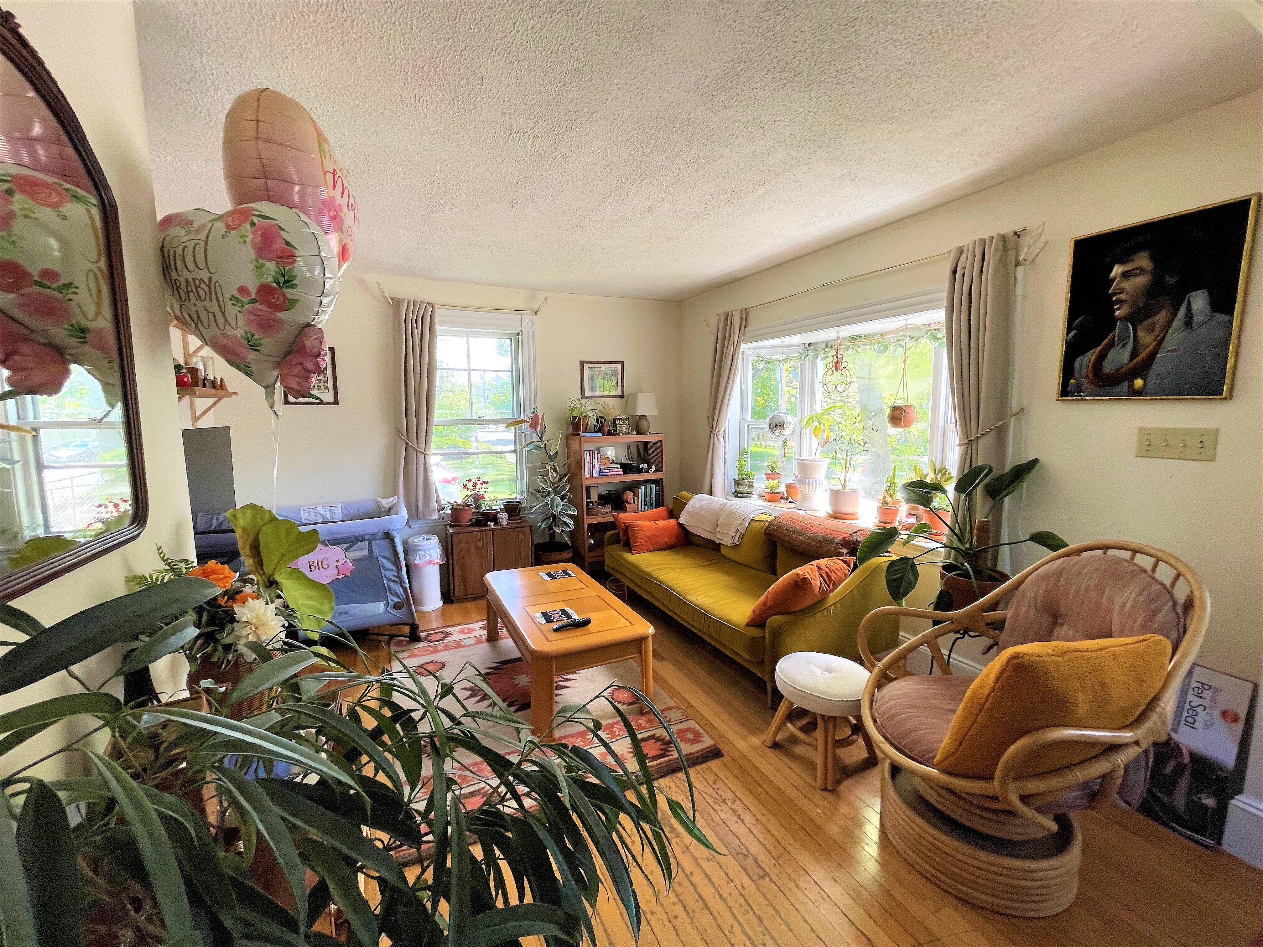 49 Jerome Ave, Newton