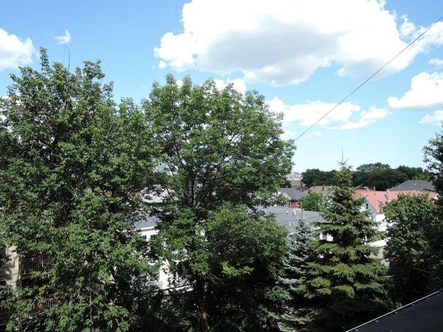 3 bed, 1 bath apartment for rent at 156 Calumet St Unit 1, Mission Hill — photo 8 of 15