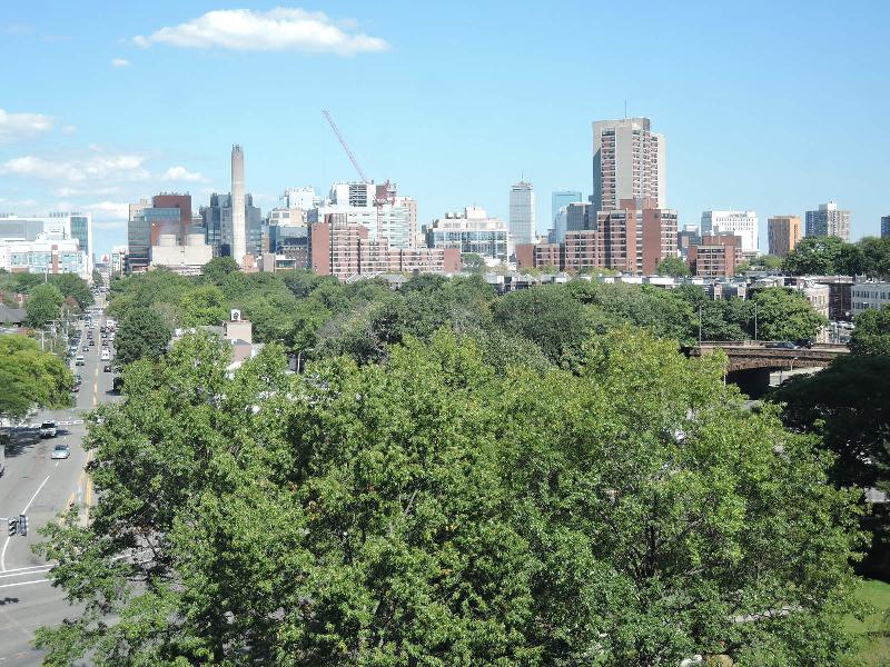 Studio bed, 1 bath apartment for rent at 44 Washington St Unit 316, Washington Square — photo 13 of 23