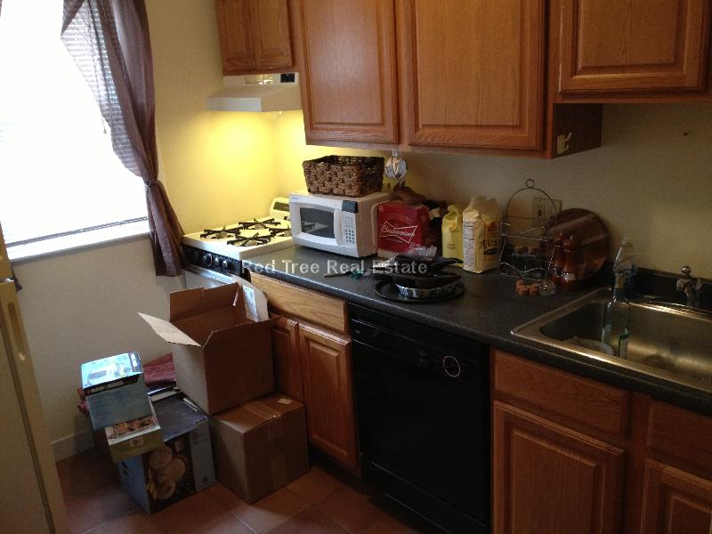 15 Scottfield Rd, Allston