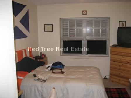 161 Lake Shore Rd, Brighton