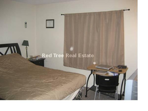 161 Lake Shore Rd, Brighton