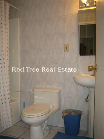 161 Lake Shore Rd, Brighton