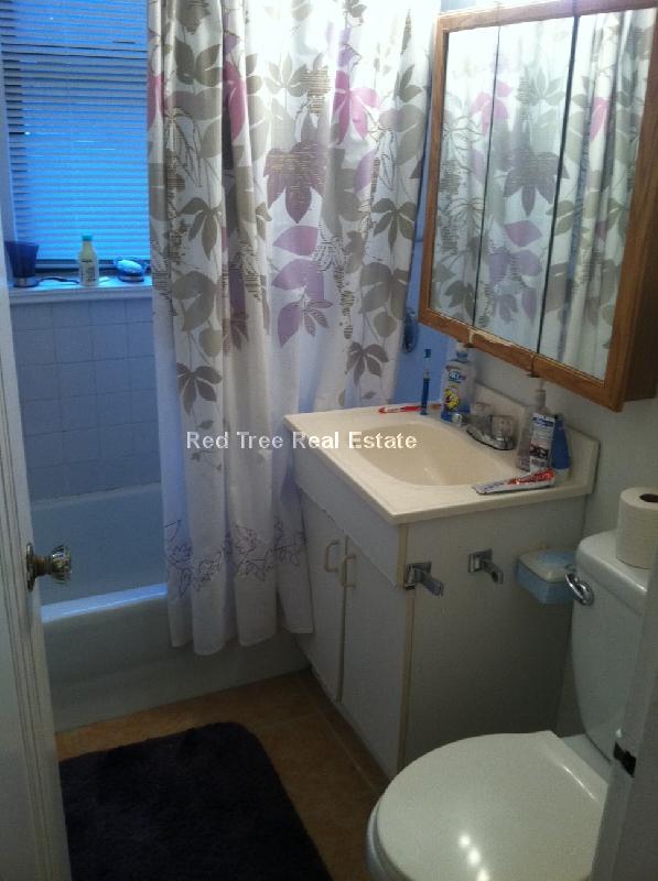 141 Englewood Ave, Brighton