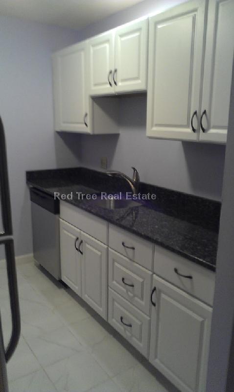 276 Chestnut Hill Ave, Brighton