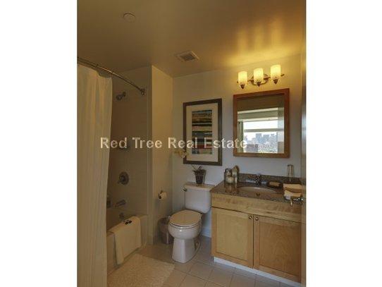 1 bed, 1 bath apartment for rent at 350 Third St Unit 1702, Cambridge — photo 8 of 50