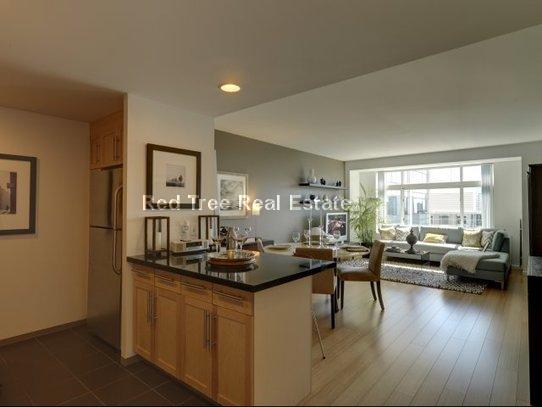 1 bed, 1 bath apartment for rent at 350 Third St Unit 1702, Cambridge — photo 7 of 50