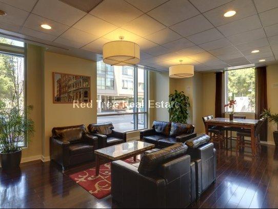 1 bed, 1 bath apartment for rent at 350 Third St Unit 1702, Cambridge — photo 11 of 50