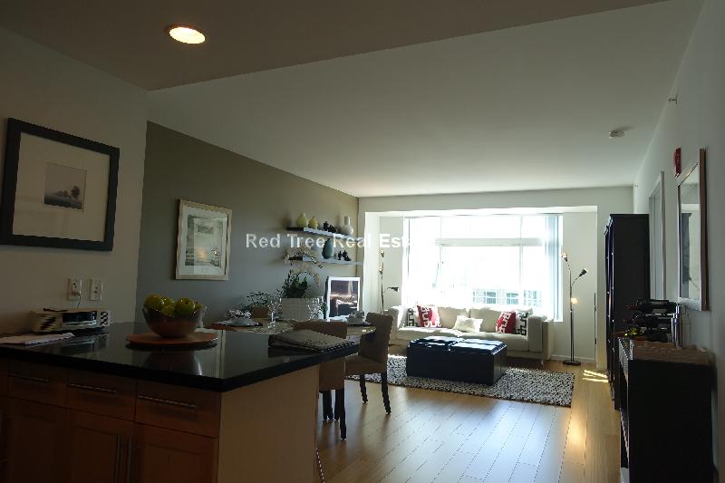 1 bed, 1 bath apartment for rent at 350 Third St Unit 1702, Cambridge — photo 31 of 50