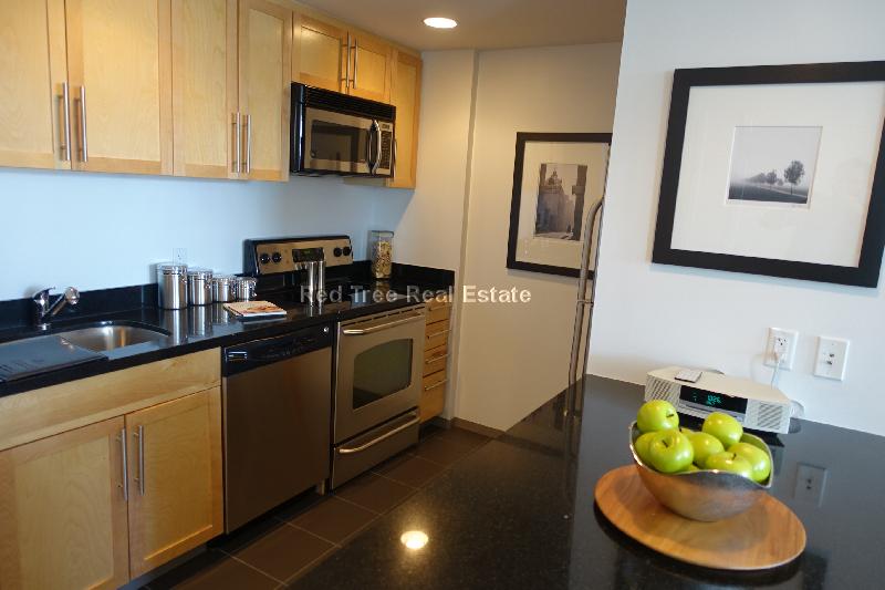 1 bed, 1 bath apartment for rent at 350 Third St Unit 1702, Cambridge — photo 36 of 50