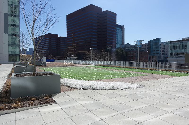 1 bed, 1 bath apartment for rent at 350 Third St Unit 1702, Cambridge — photo 39 of 50