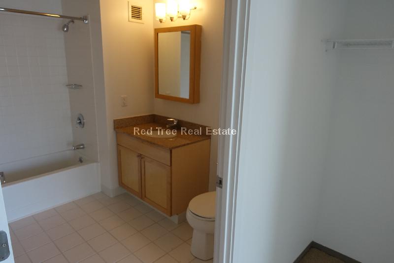 1 bed, 1 bath apartment for rent at 350 Third St Unit 1702, Cambridge — photo 41 of 50