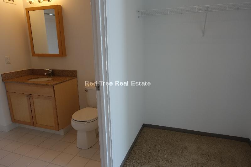 1 bed, 1 bath apartment for rent at 350 Third St Unit 1702, Cambridge — photo 42 of 50
