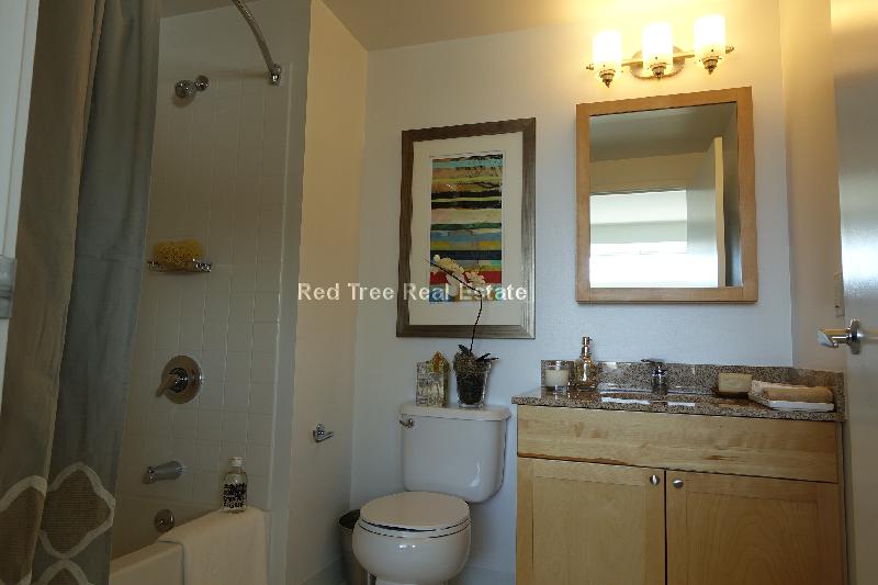 1 bed, 1 bath apartment for rent at 350 Third St Unit 1702, Cambridge — photo 45 of 50