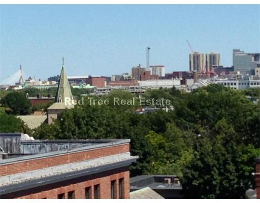 287 Harvard St, Cambridge