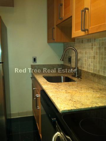 276 Chestnut Hill Ave, Brighton