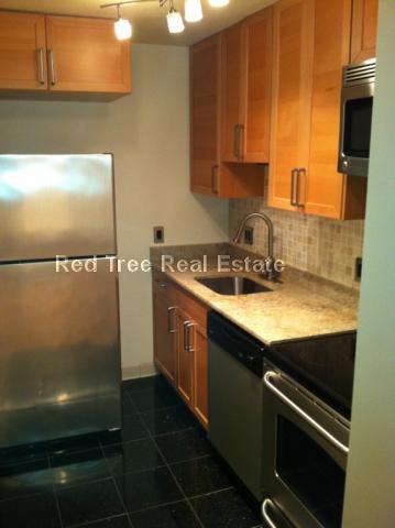 276 Chestnut Hill Ave, Brighton