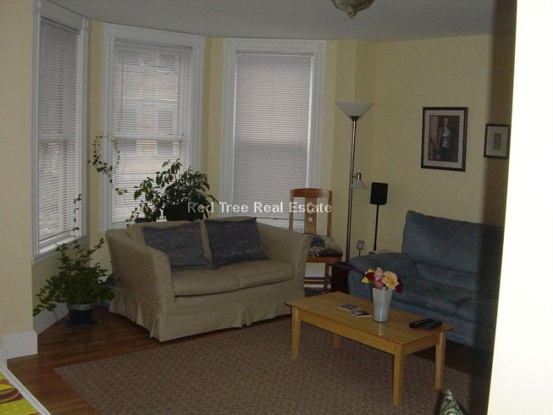 2 bed, 1 bath apartment for rent at 164 Putnam Ave, Cambridge — photo 5 of 7